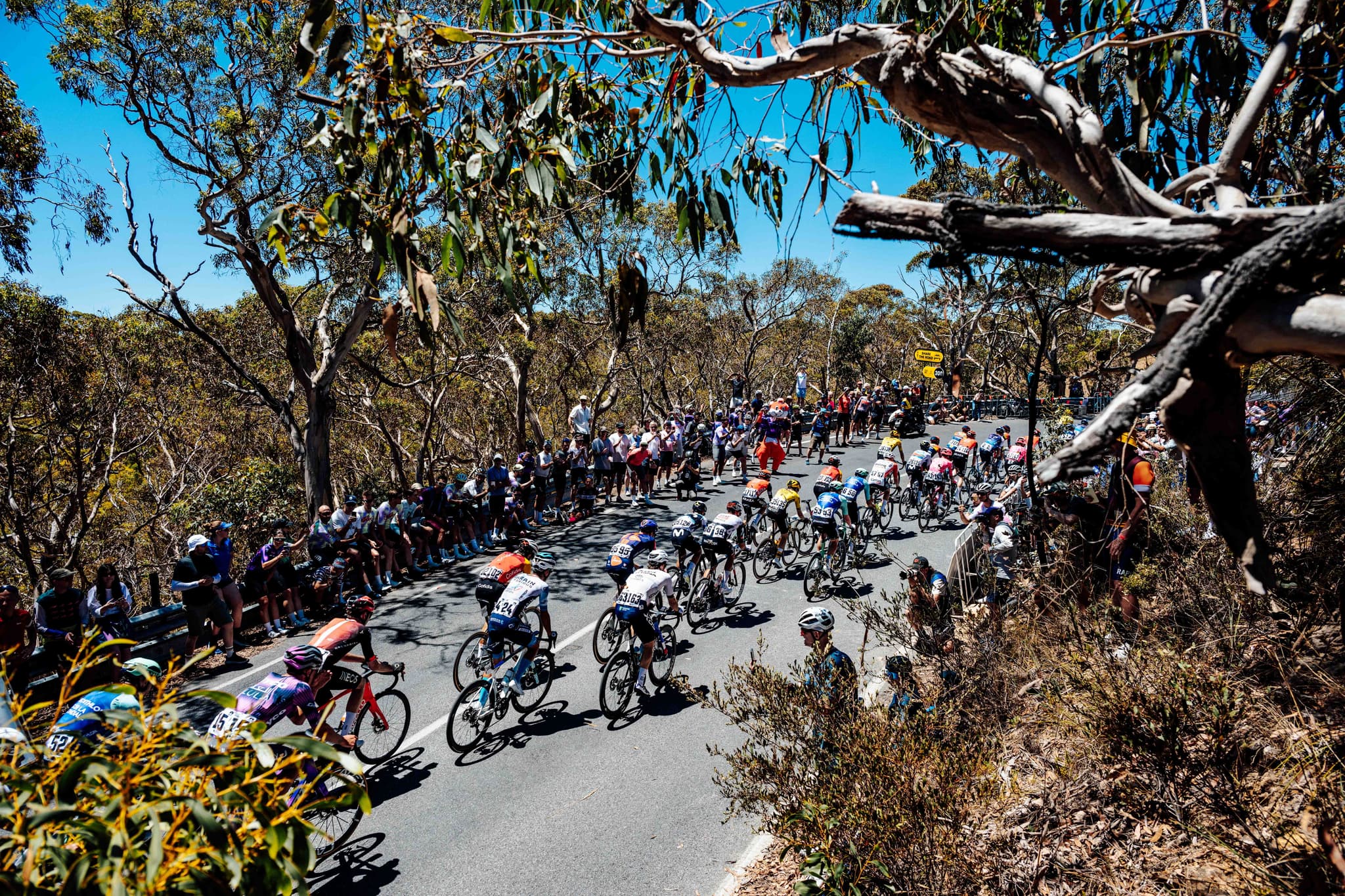 2026 TDU Hospitality ‑ Men’s Stage 5 – Stirling Finish