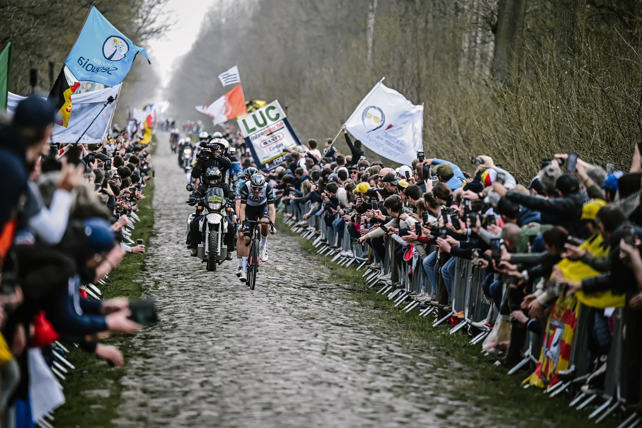 Cyclists on cobbles at Paris-Roubaix 2023, UAE rider visible