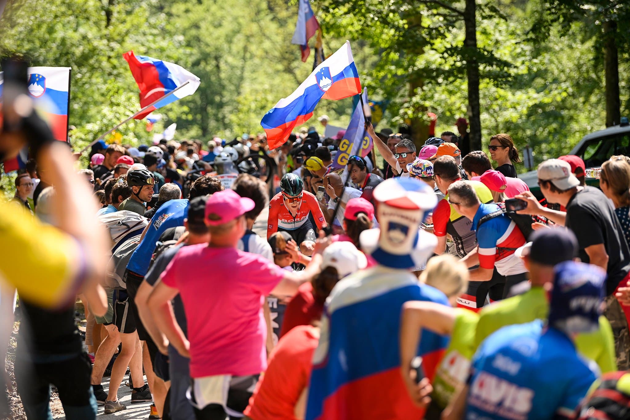 Cyclist in red jersey surrounded by fans waving Slovenian flags.